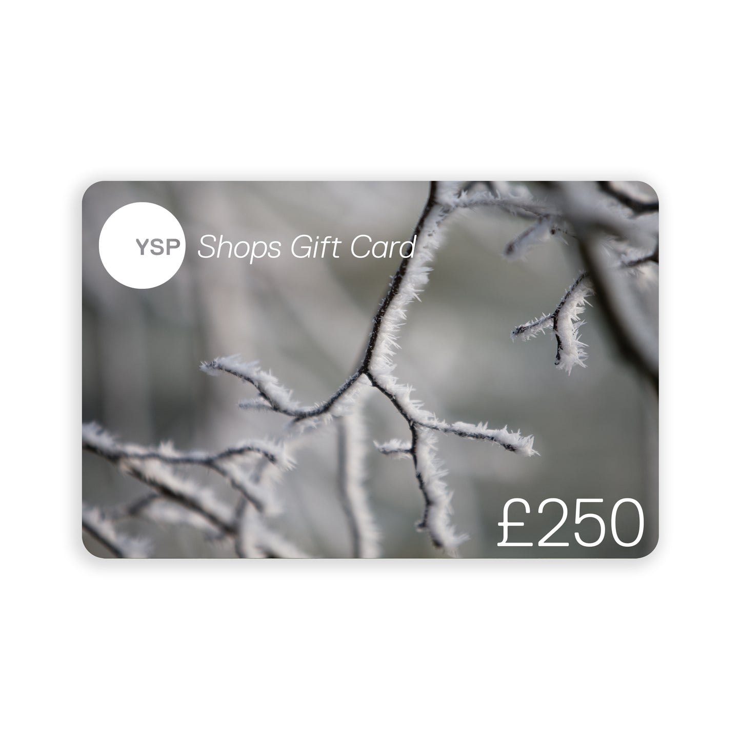 YSP Shops Gift Card