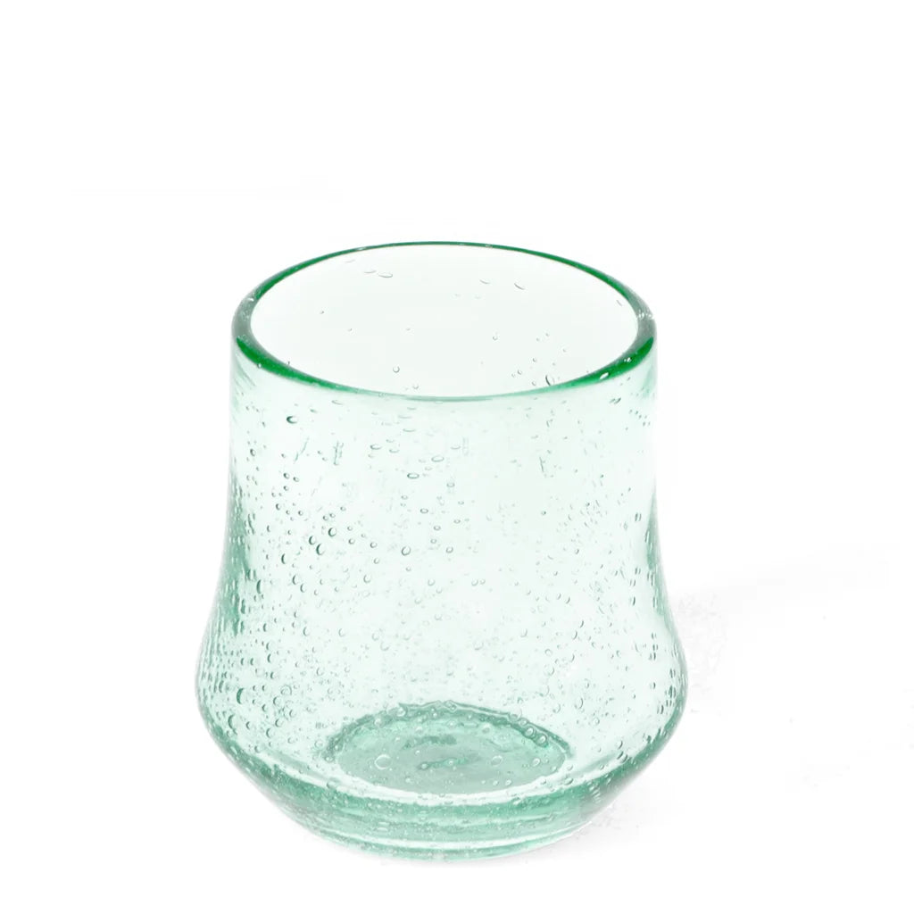 Hand Blown Bubble Glass Tumbler