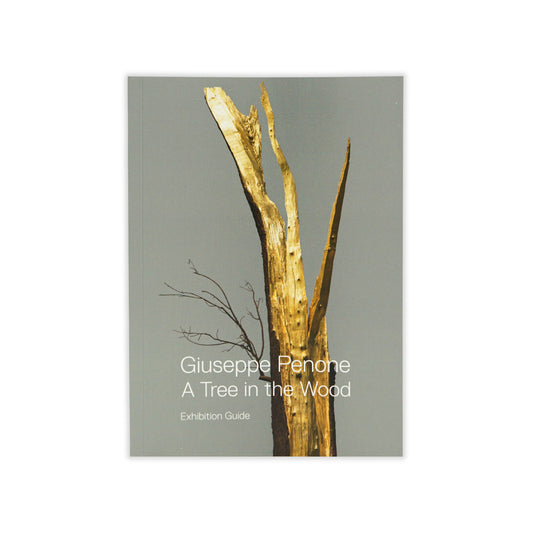 Cover of the exhibition guide featuring a photograph of a damaged tree, with the title 'Giuseppe Penone: A Tree in the Wood' displayed.