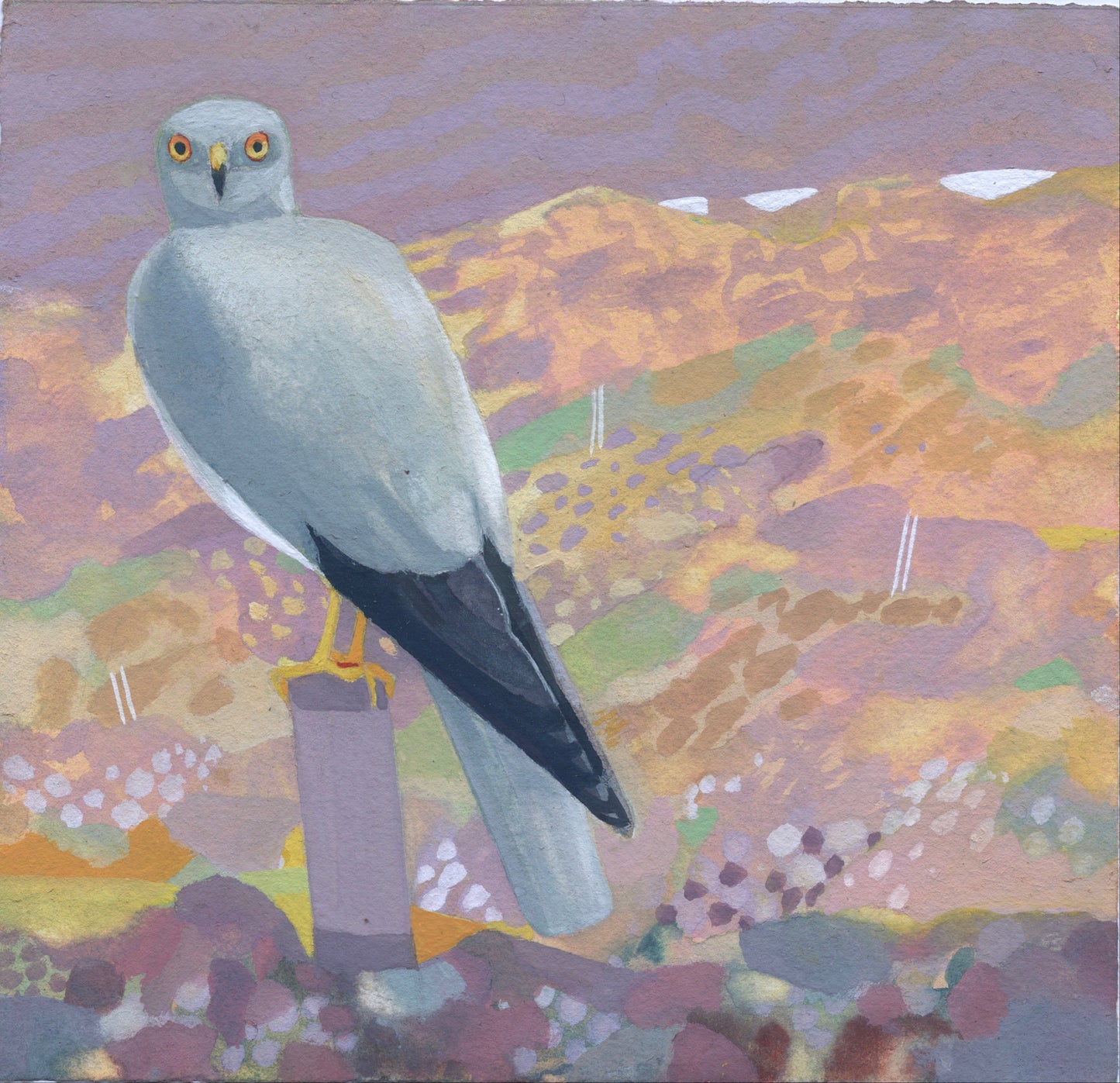 Painting of a grey bird with a colourful landscape background. The bird has yellow eyes and feet and is sitting on a pillar with landscape in the background and foreground.