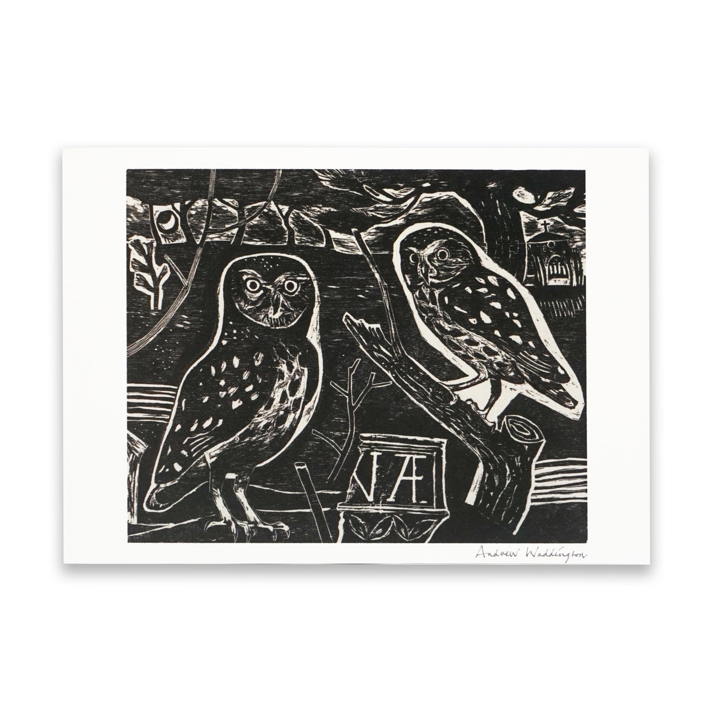 Black and white illustration of two owls on a branch with decorative elements.