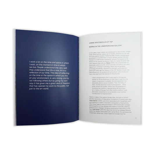 Joana Vasconcelos: Exhibition Guide
