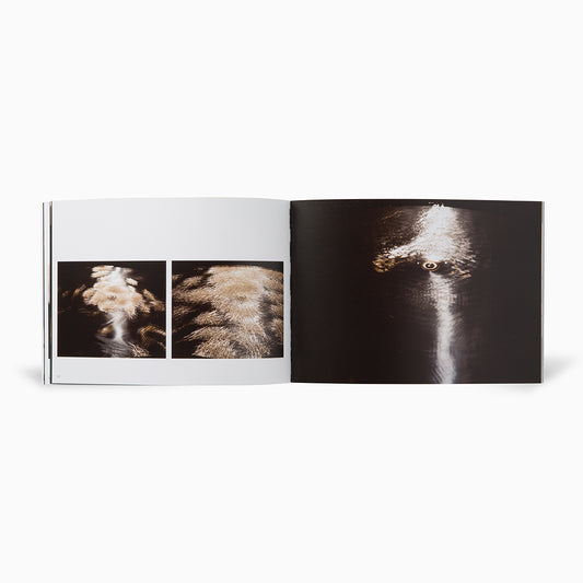 Caroline Locke: Sound Fountains