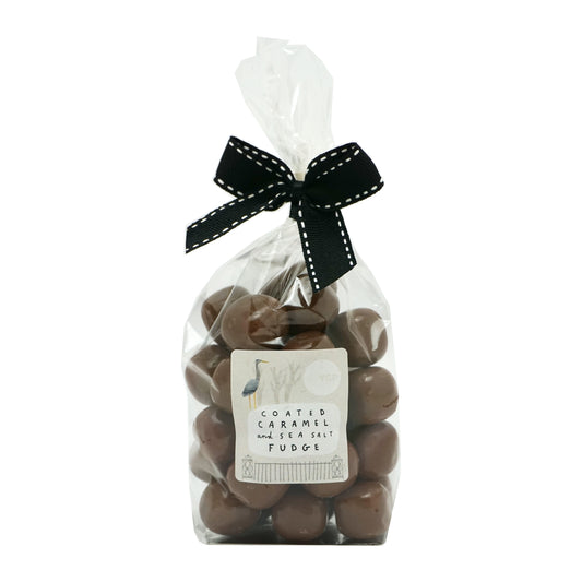 Clear bag of fudge with a black bow tie on a plain white background. The label features an illustration of a heron and the YSP logo.