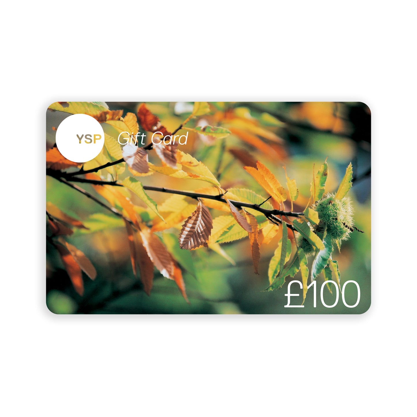 YSP Shops Gift Card