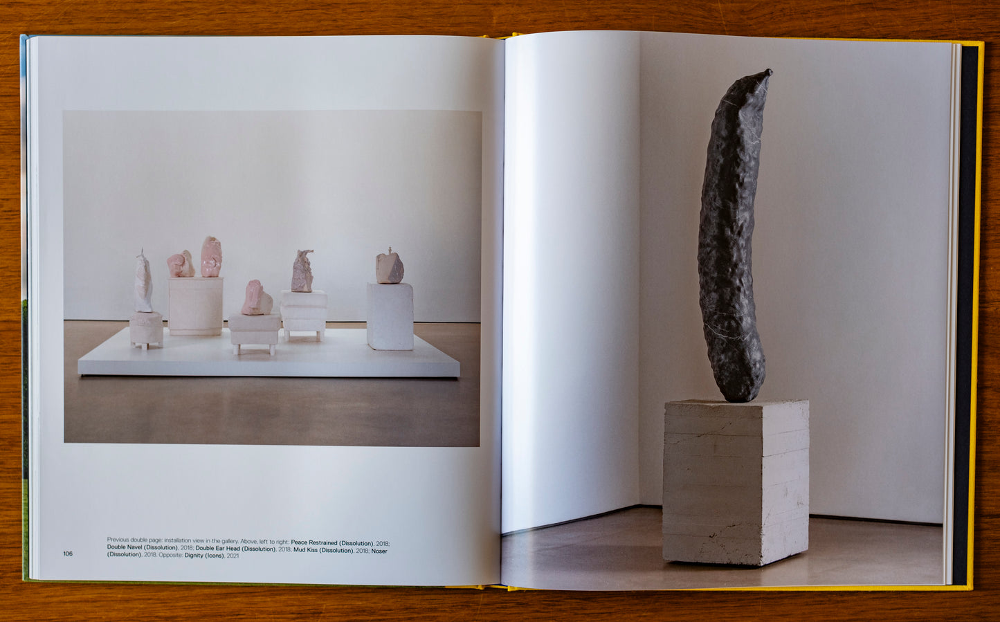 Erwin Wurm: Exhibition Catalogue