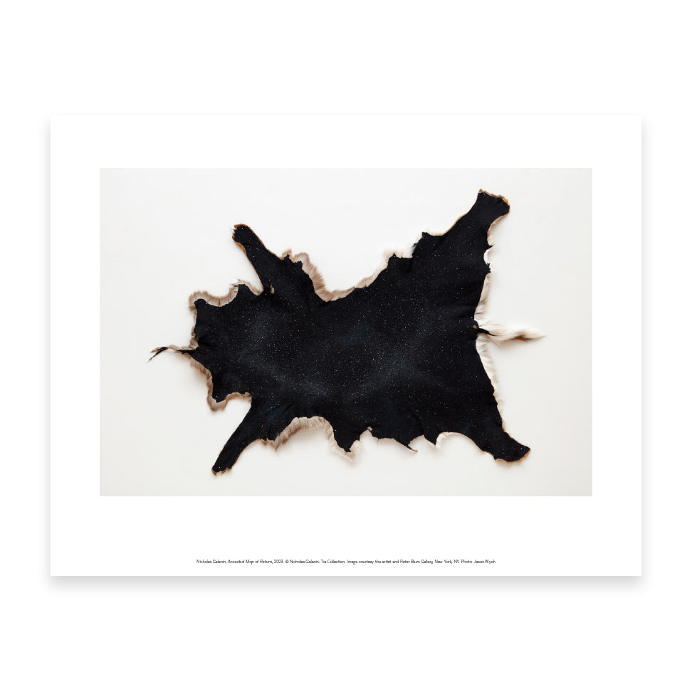 A dark, textured hide with a starry pattern, featuring soft, light-coloured fur along the edges. The hide is irregularly shaped and displayed against a plain white background, highlighting its unique design and natural beauty.