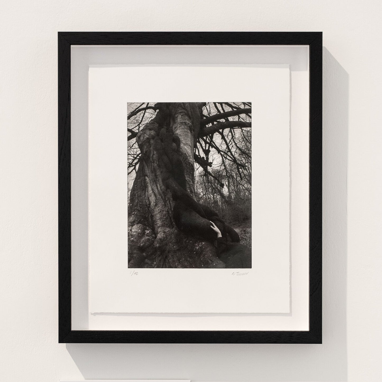 A black and white print titled "Whisper's Whisper" by Nicola Turner, framed in black. It depicts a serene natural scene with a tree and a figure resting against it.