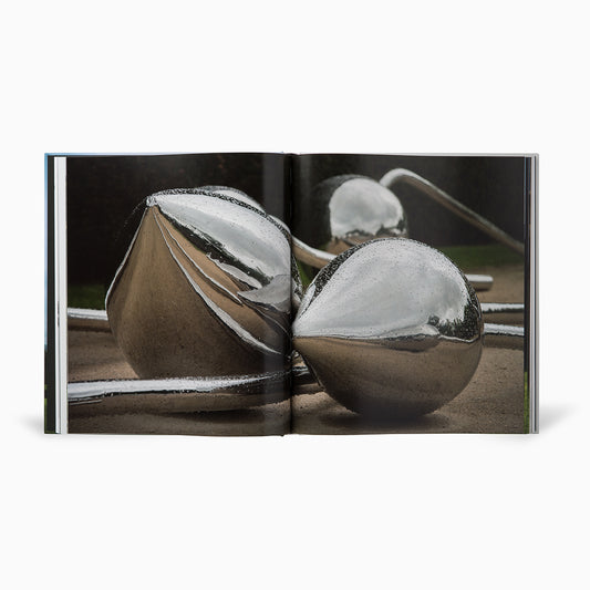A glossy, reflective sculpture featuring large, rounded forms and elongated, twisting elements is displayed in an open book. The artwork is set against a natural background, highlighting its shiny surface and organic shapes.