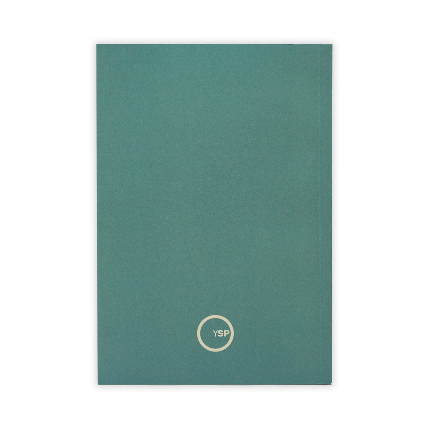 Back of a turquoise book with a logo on a white background
