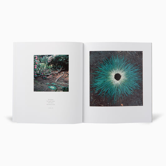 A photo book open to two pages. The left page features a small image of a garden with flowers, while the right page displays a larger image of a circular arrangement of green grass with a dark centre, creating a striking contrast.