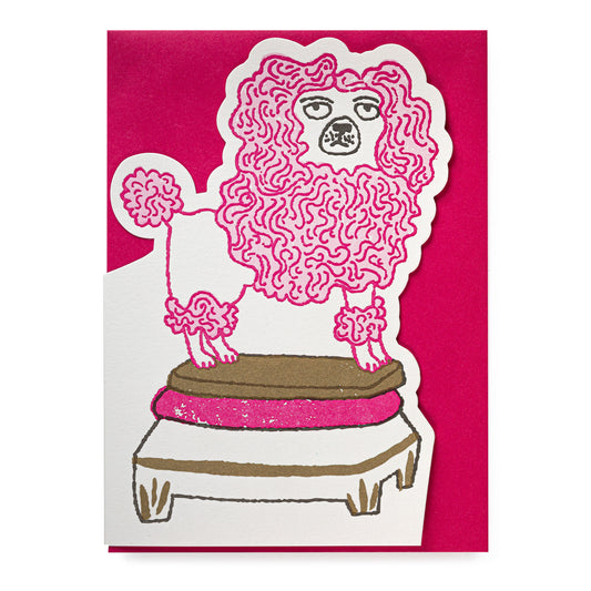 Illustration of a pink poodle on a stool against a pink envelope