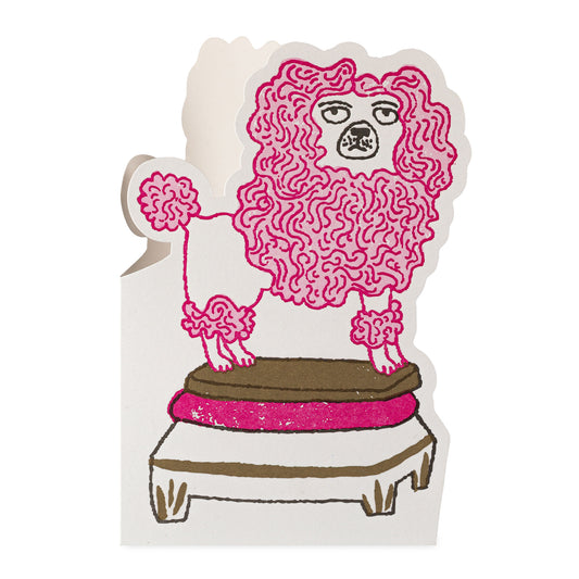 Illustration of a poodle with pink fur on a white background standing on a stool with a pink edge.