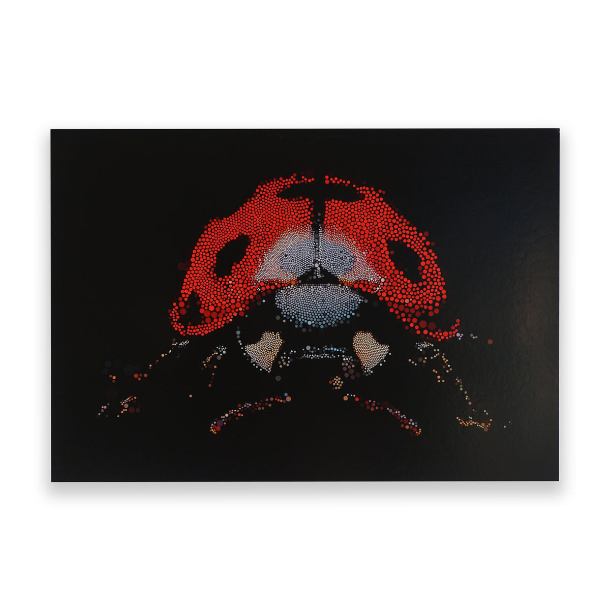 Artistic postcard of a ladybug made from small red and black dots on a black background