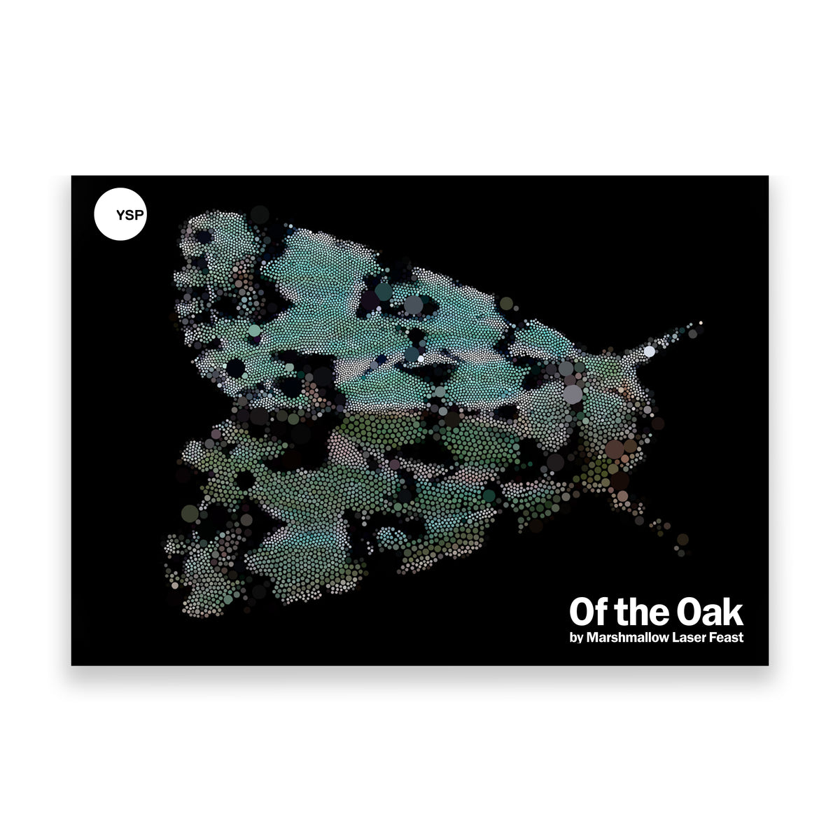 Postcard pack cover with a moth design and text 'Of the Oak by Marshmallow Laser Feast' on a black background