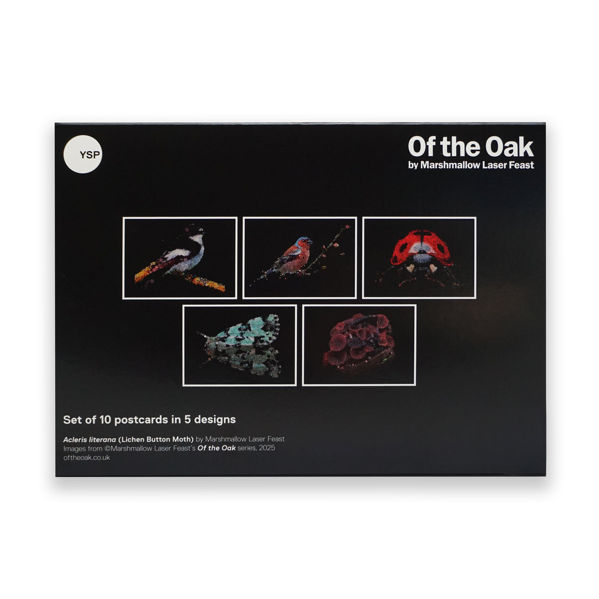 Packaging of 'Of the Oak' postcard set by Marshmallow Laser Feast on a black background.