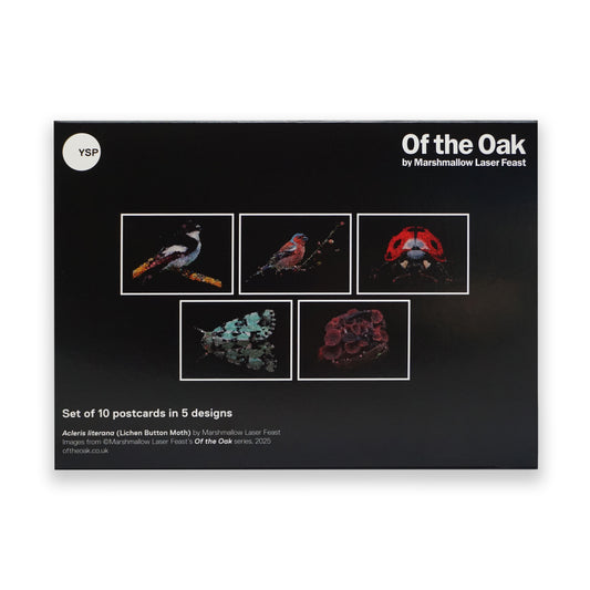 Marshmallow Laser Feast: Postcard Pack