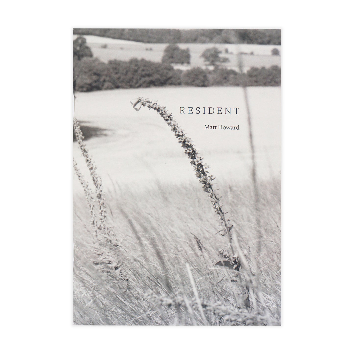 Book cover with a black and white landscape and 'RESIDENT Matt Howard' text