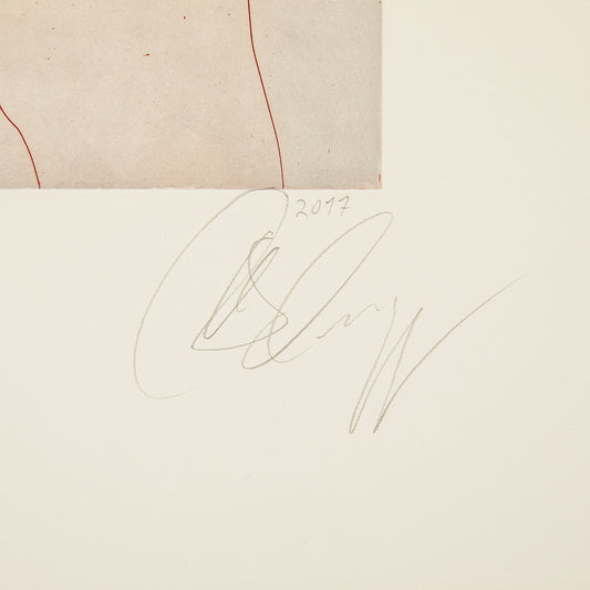 Tony Cragg: Manipulation 3