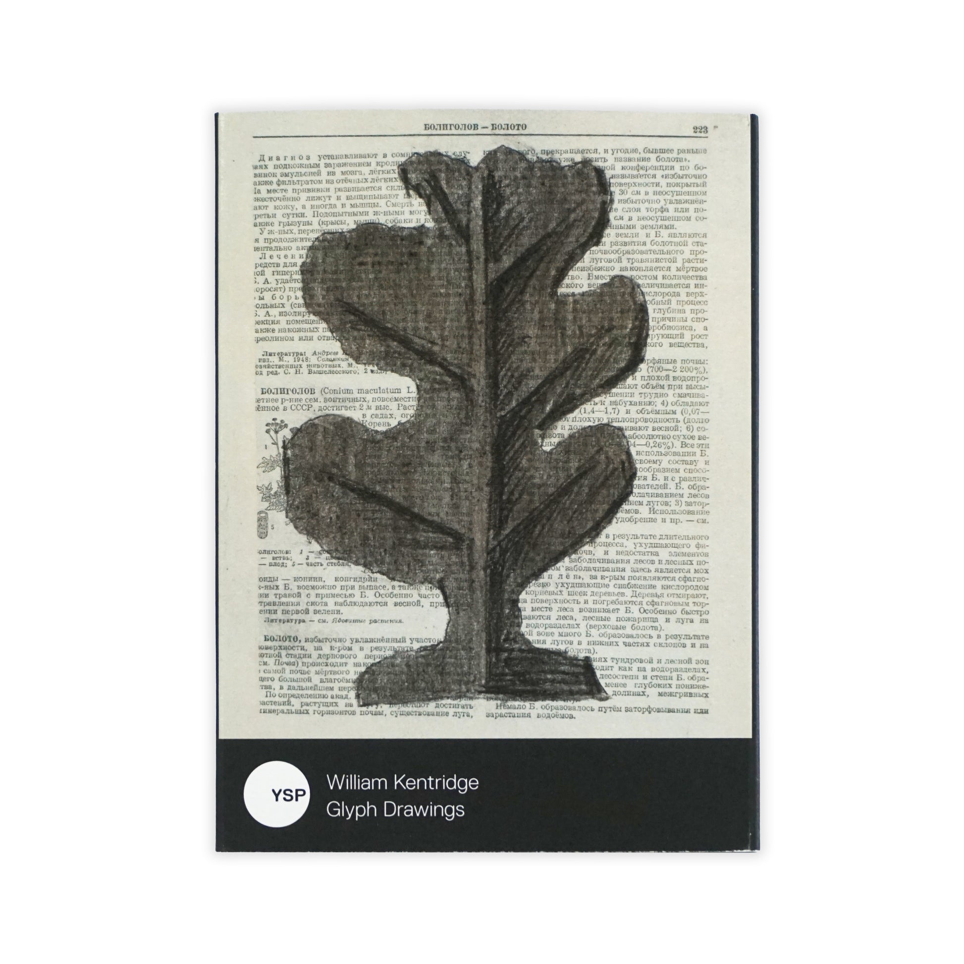 Artistic depiction of a leaf on a book page with 'William Kentridge Glyph Drawings' branding.