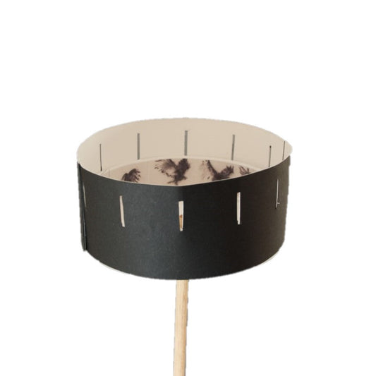 A complete Zoetrope animation kit made into it's 3D form. The outside is black and the inside shows different images of birds in flight.