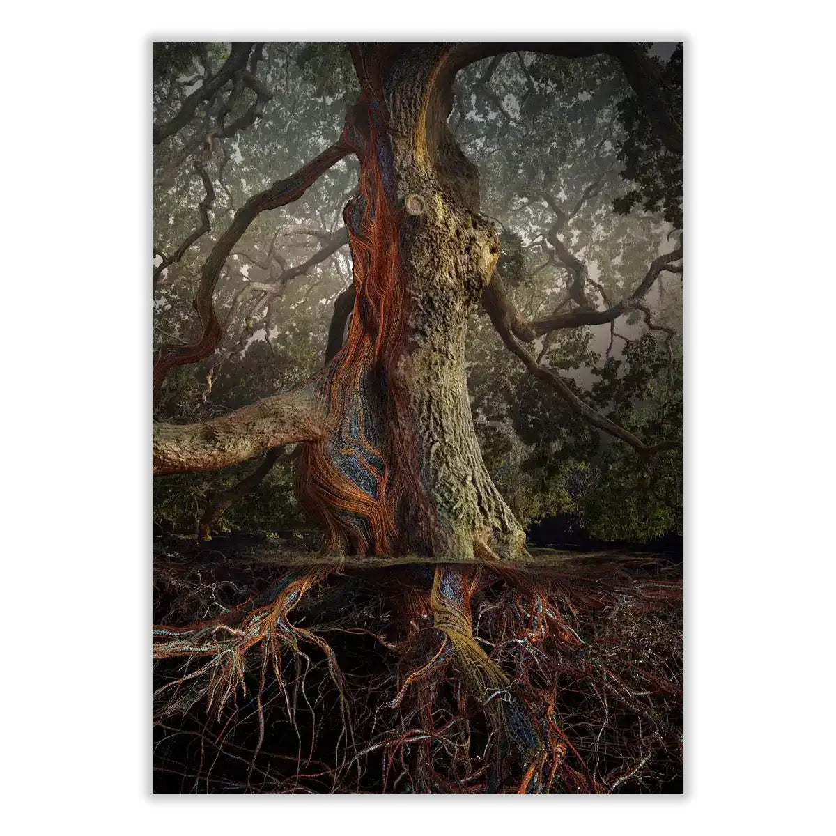 Marshmallow Laser Feast: Lucombe Oak Summer