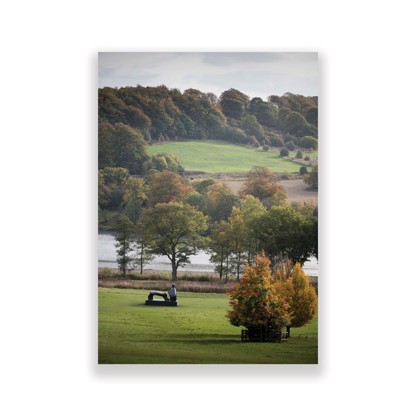 Henry Moore: Postcards