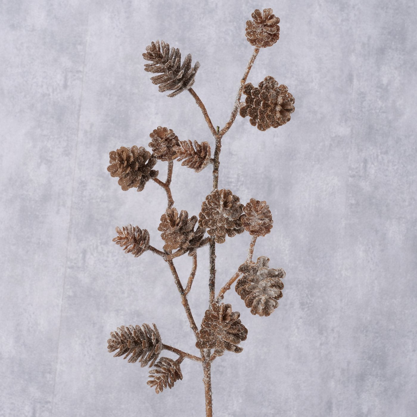 Decorative Branch