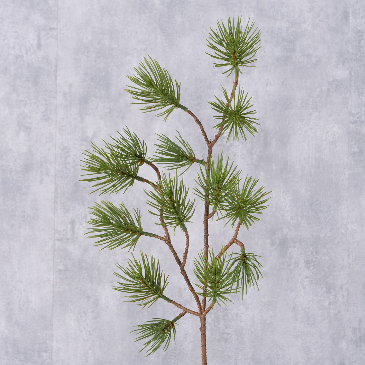 Decorative Branch