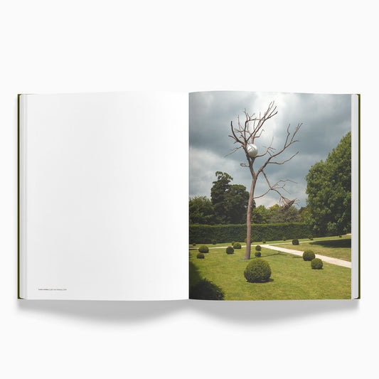 Giuseppe Penone: A Tree in the Wood