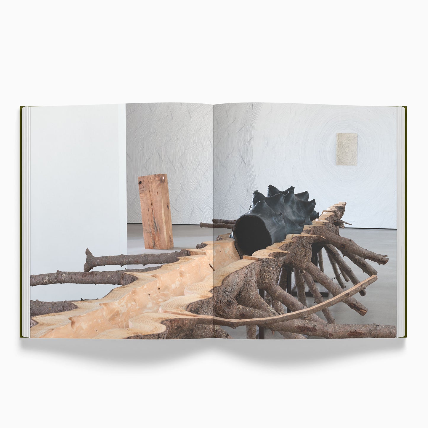 Giuseppe Penone: A Tree in the Wood