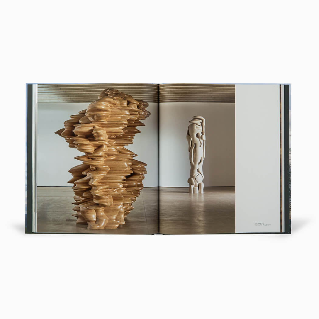 Tony Cragg: A Rare Category of Objects Exhibition Catalogue