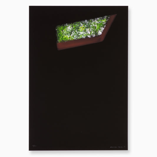 A dark, minimalist artwork featuring a small, angled window revealing a glimpse of lush green foliage outside. The contrast between the deep black background and the vibrant greenery creates a striking visual effect.
