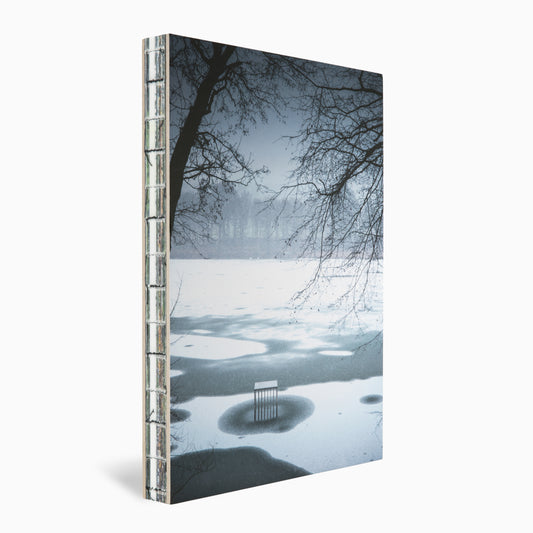 A tall, thin book stands upright against a backdrop of a misty, frozen lake. Dark, bare trees frame the scene, with patches of ice and snow visible on the water's surface, creating a serene and atmospheric winter landscape.