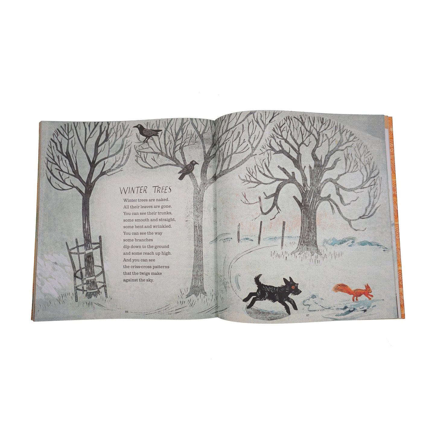 A First Book of Nature