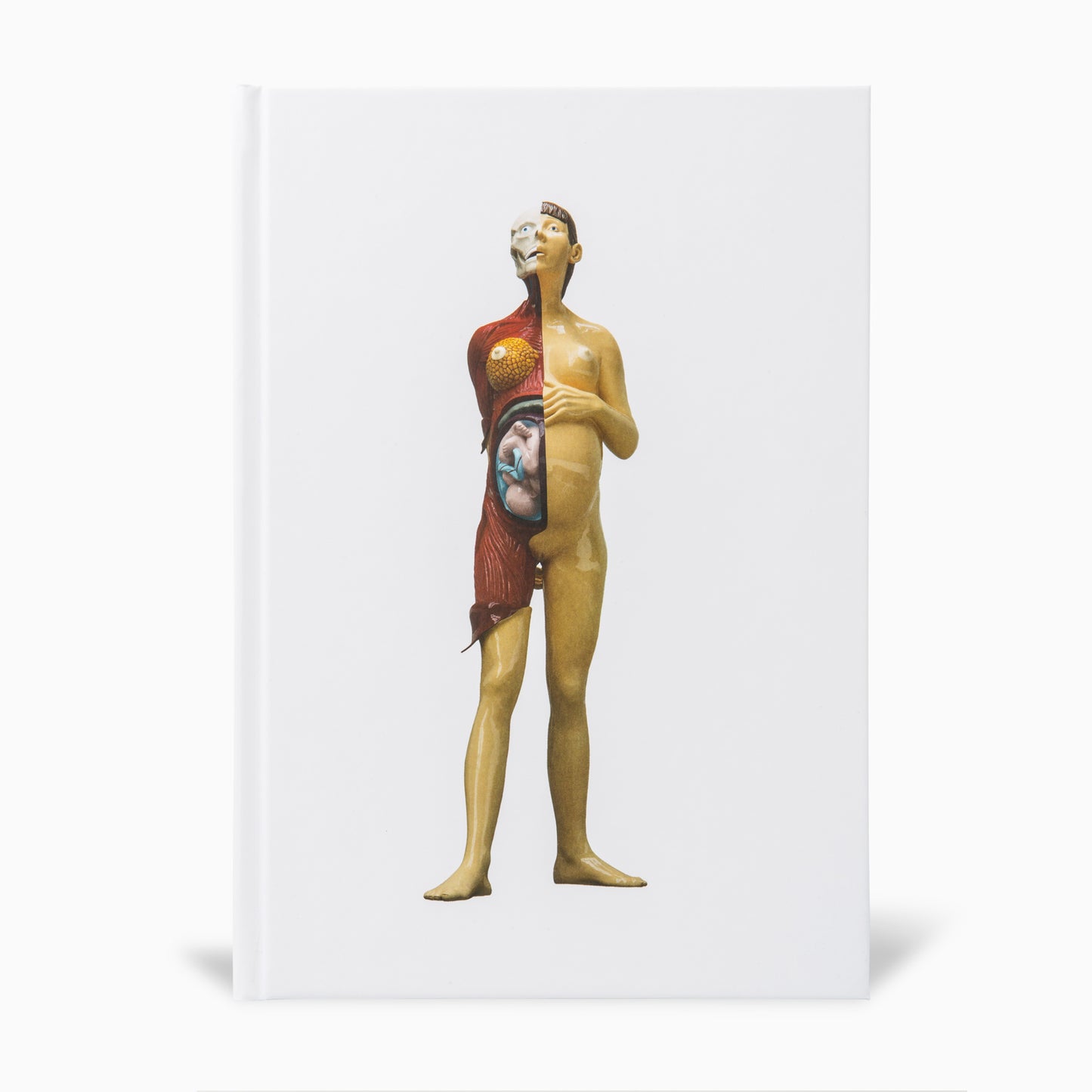 Damien Hirst: A5 Hardback Sketchbook