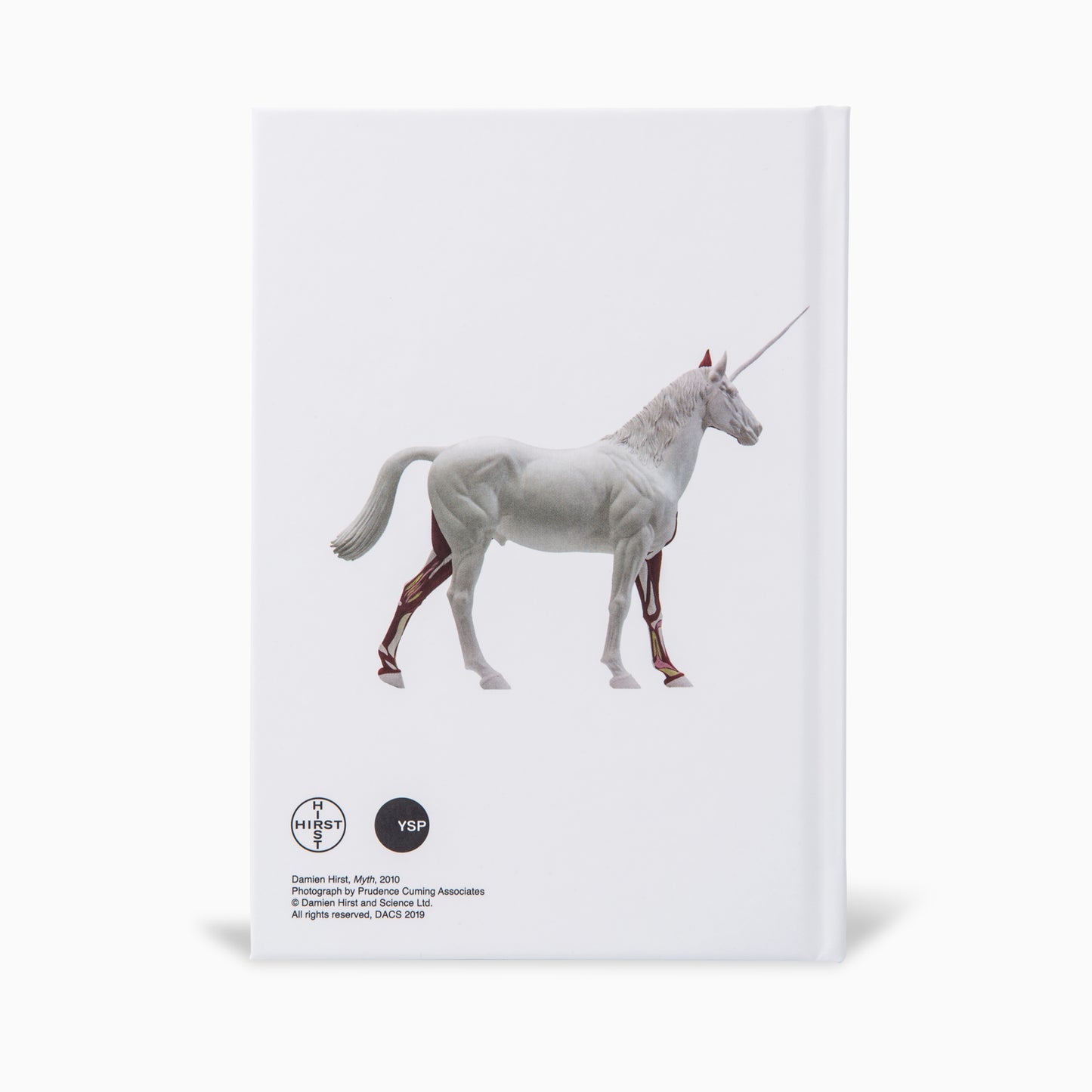 Damien Hirst: A6 Hardback Sketchbook