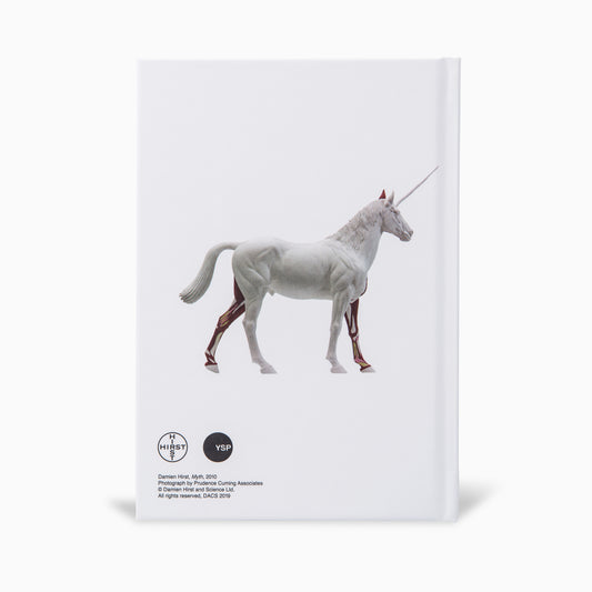 Damien Hirst: A6 Hardback Sketchbook