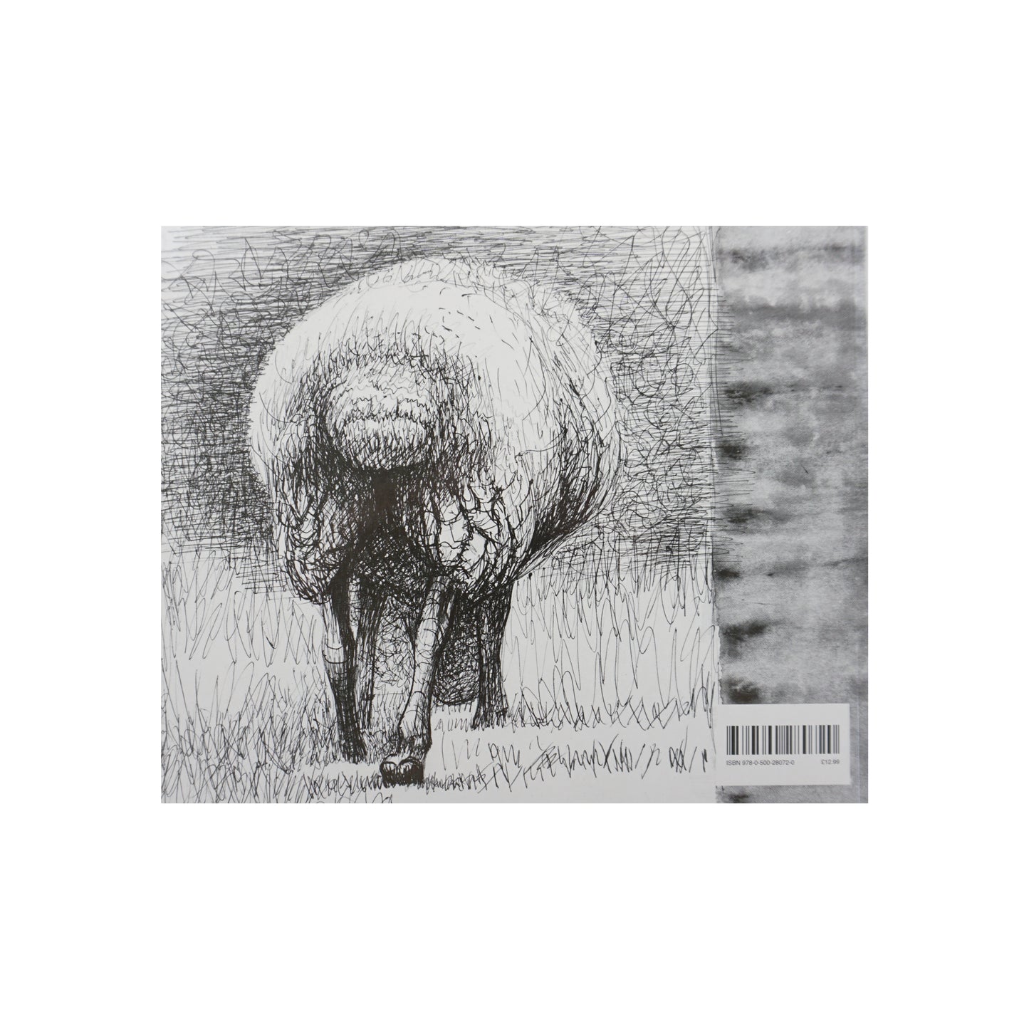 A black and white illustration of a sheep grazing in a grassy field. The sheep is depicted in a detailed, sketchy style, with intricate lines creating texture in its wool and the surrounding landscape. The background features abstract patterns.