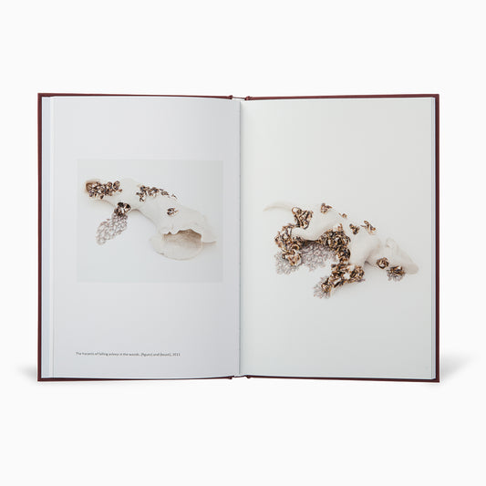 An open book displays a page featuring a delicate, abstract composition of white and metallic elements, resembling organic forms intertwined with intricate details. The opposite page includes a caption about the artwork.