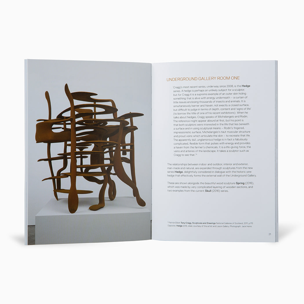 Tony Cragg A Rare Category of Objects Exhibition Guide
