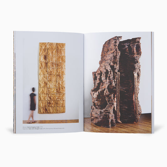 Ursula von Rydingsvard Exhibition Guide