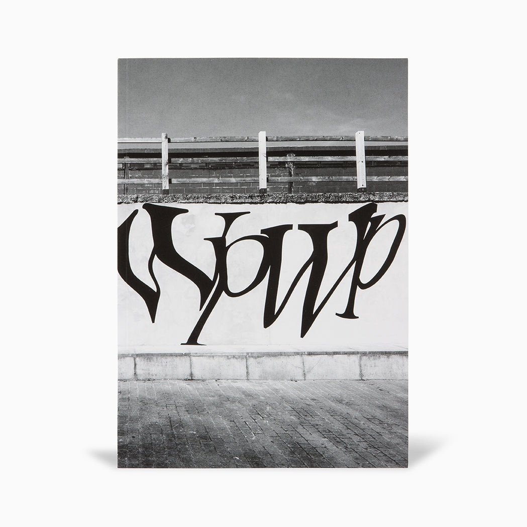 Fiona Banner: Wp Wp Wp