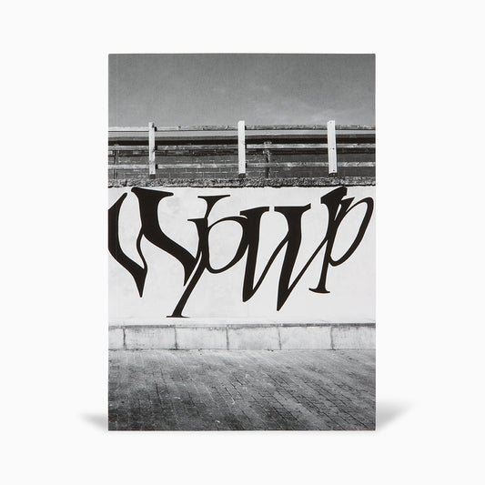 Fiona Banner: Wp Wp Wp