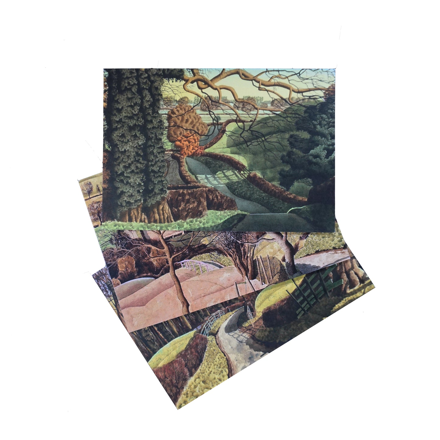Simon Palmer: Postcard Pack
