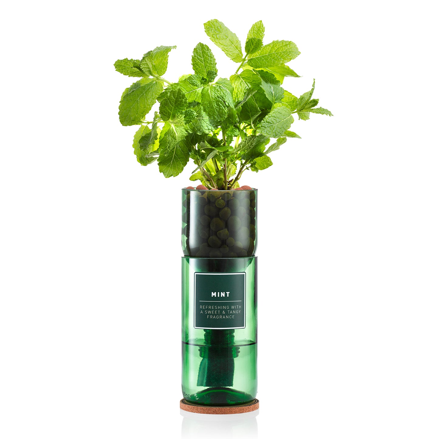 Hydro-Herb Kit