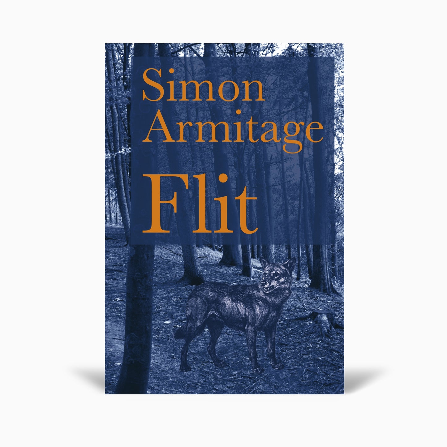 A book cover featuring the title "Flit" by Simon Armitage. The background shows a dark, wooded area with a wolf standing prominently. The title and author's name are displayed in bold orange text against a blue overlay.