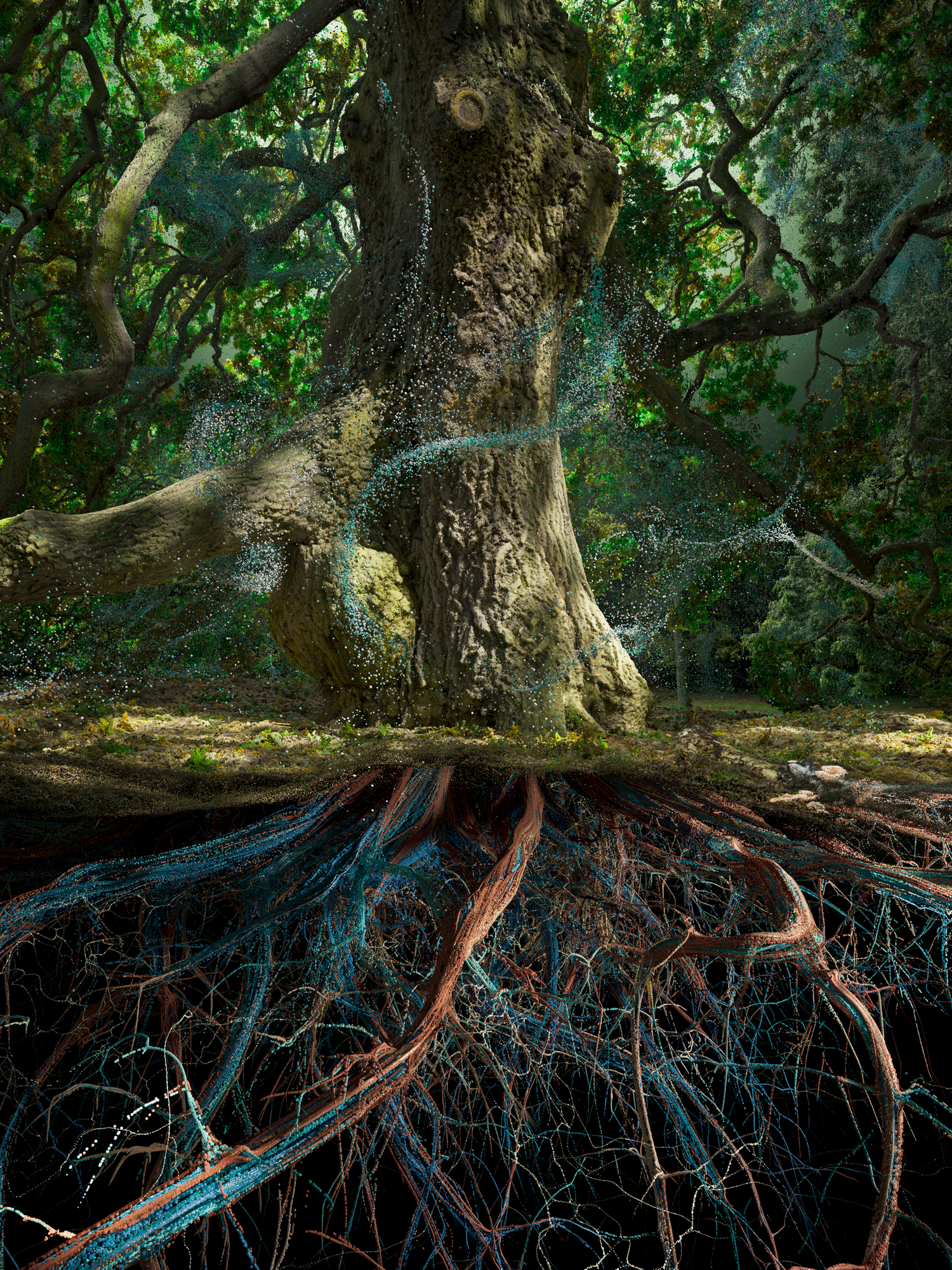 Marshmallow Laser Feast