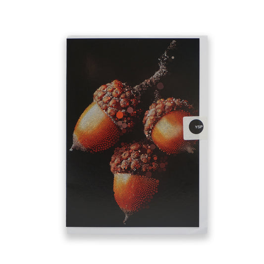 Marshmallow Laser Feast: Greetings Cards