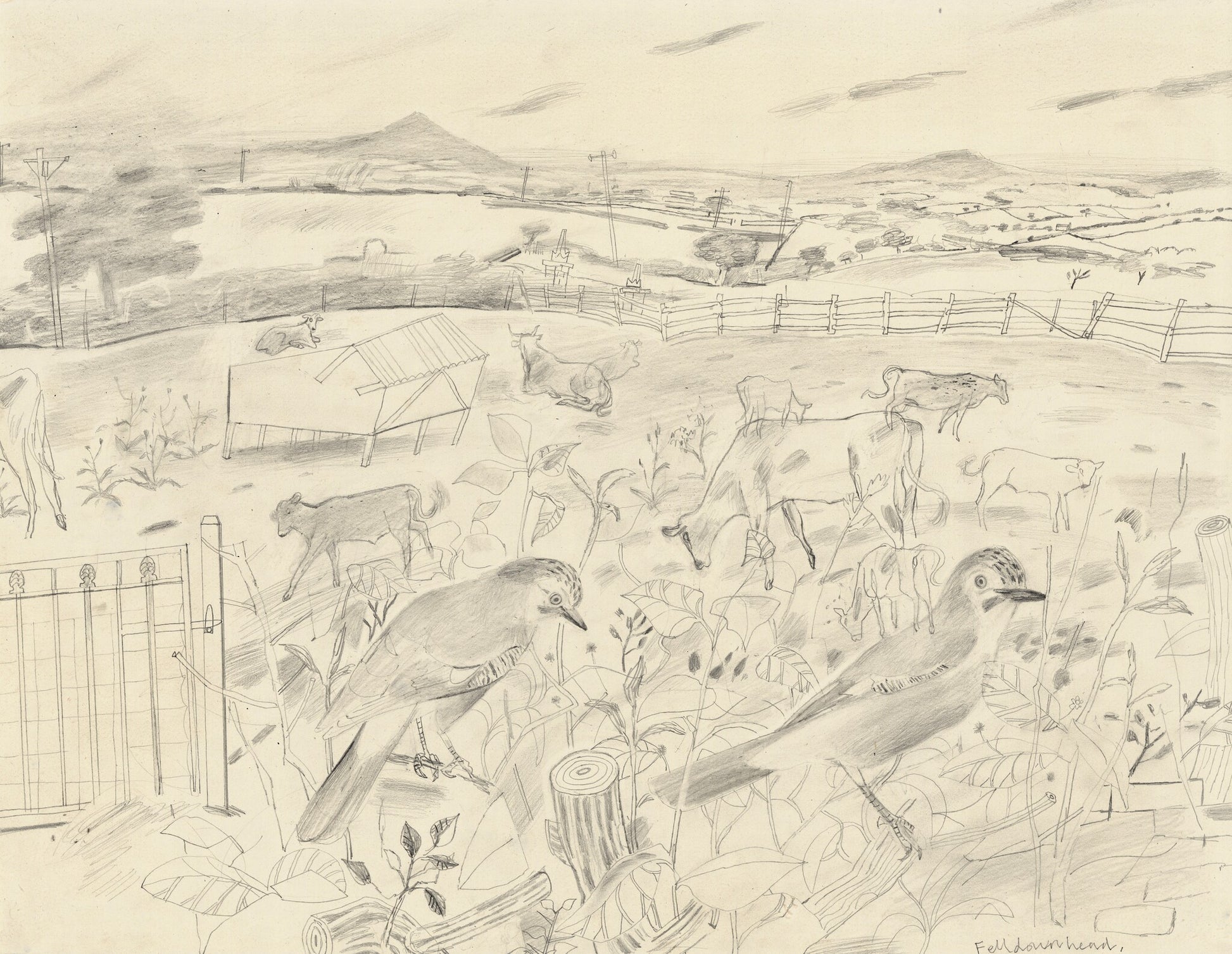 A pencil drawing depicting a rural landscape with cows grazing in a field, a wooden fence, and a distant hill. In the foreground, two birds perch on a branch amidst tall grass and plants, creating a serene, pastoral scene.